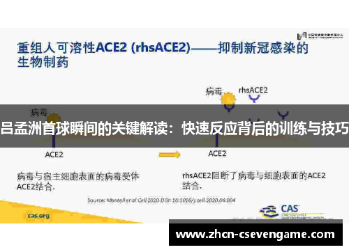 吕孟洲首球瞬间的关键解读:快速反应背后的训练与技巧
