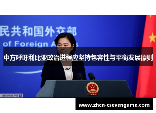 中方呼吁利比亚政治进程应坚持包容性与平衡发展原则