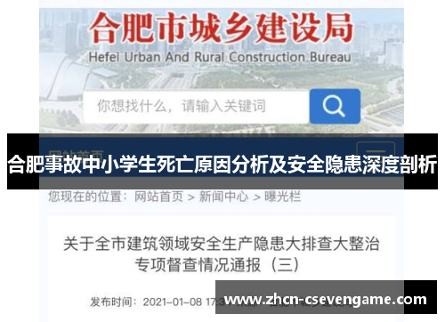 合肥事故中小学生死亡原因分析及安全隐患深度剖析